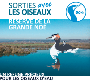 Le Groupe Ornithologique Normand (GONm) vous propose un temps d’observation riche en couleurs à la découverte des oiseaux résidant ou de passage sur le lac ornithologique de la Grande Noé. En compagnie d’un ornithologue de l’association et équipé(e) de jumelles ou de longue vue, vous partirez en balade à la découverte des nombreuses espèces d’oiseaux présentes sur la réserve.